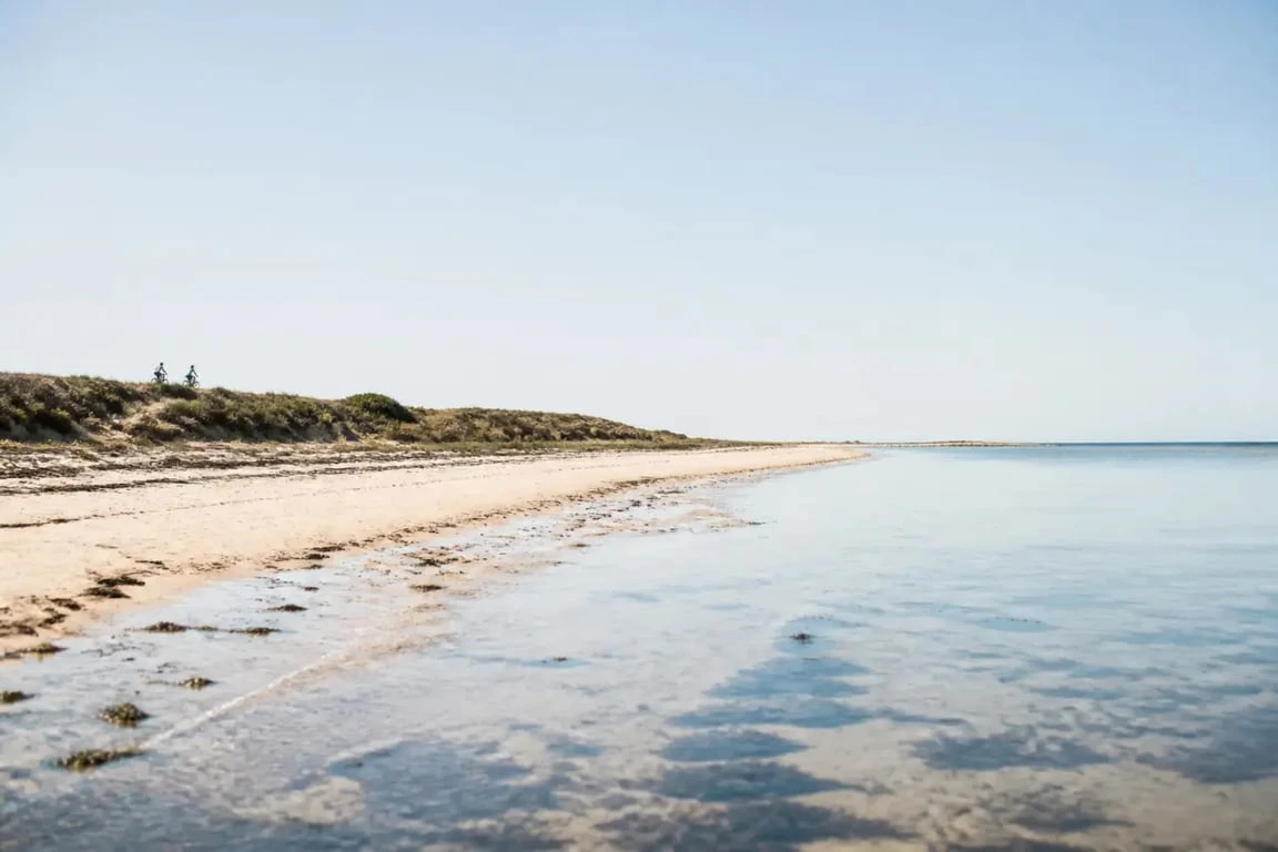 Plage pas des sauzes sur l’Île de Ré : vue de la plage des Sauzes au Bois-Plage-en-Ré
