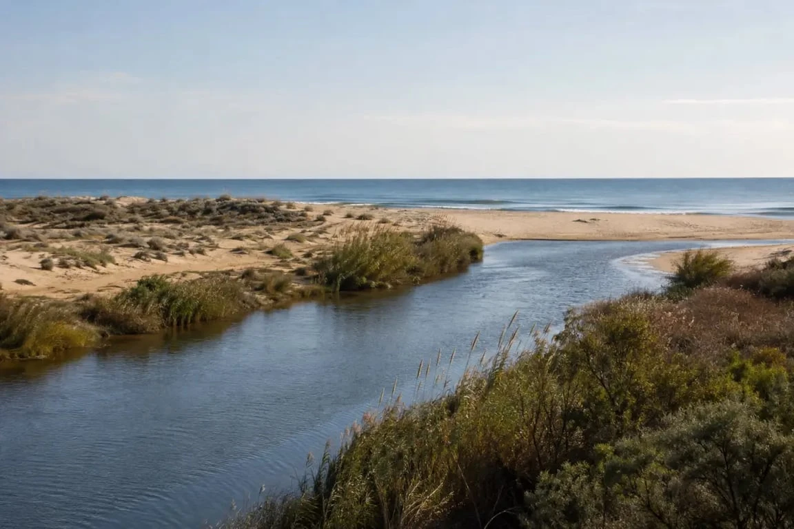 Embouchure du Tech fleuve au Mas Larrieu près d’Argelès-sur-Mer