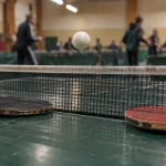 Perpignan Roussillon tennis de table en salle, table verte et filet